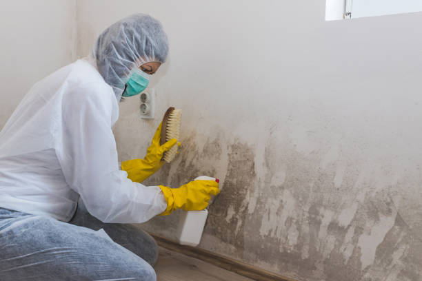 Crawl Space Mold Removal in Icard, NC